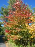 Wednesday October 03, 2007 23:51 - COUPLE DAYS AT MORRIS'S COTTAGE IN OCTOBER 046.jpg